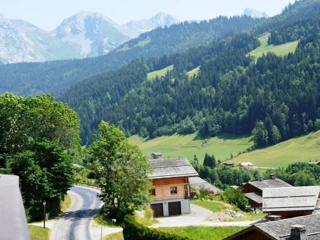 Appartement Le Grand-Bornand, 1 pièce, 4 personnes - FR-1-241-37