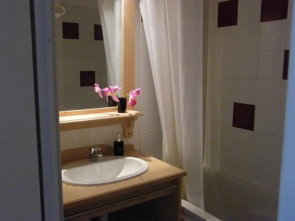 Appartement Puy-Saint-Vincent, 2 pièces, 6 personnes - FR-1-330G-95