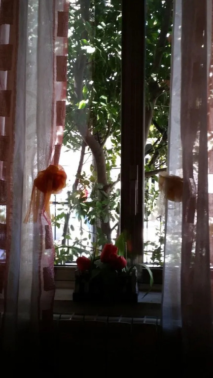 Casa Floralia