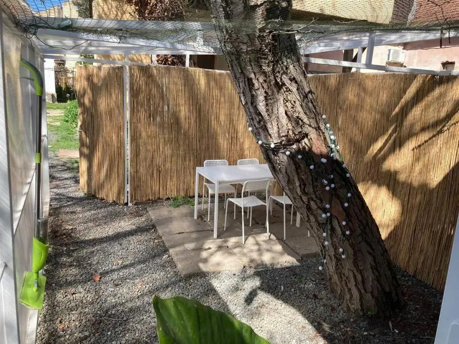 Tiny house -central- Timișoara