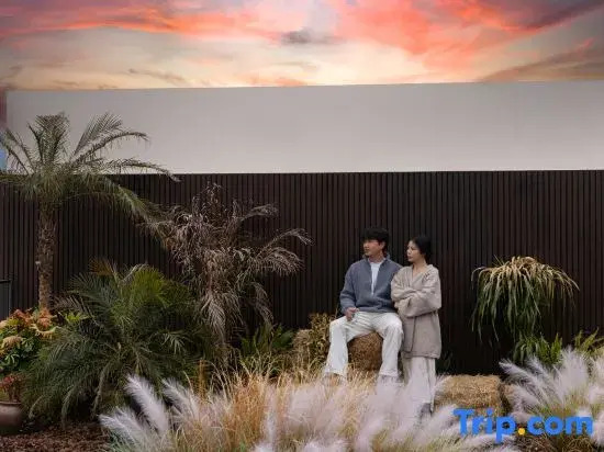 ShanJuanYun Panoramic Sunlit Yulong Snow Mountain Hotel Near Shuhe Ancient Town Near Baisha Ancient Town One free round-trip shuttle ride to the scenic area Brunch Free self-service laundry A quiet environment
