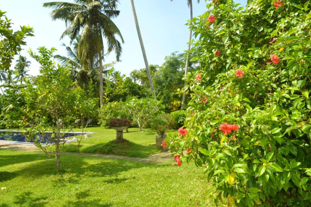 New Hotel Kabalana