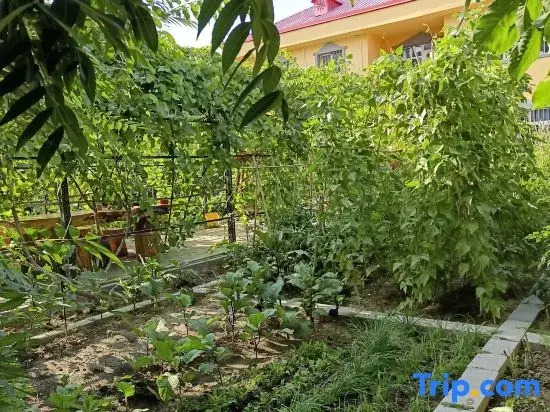 Yining Xiexie Homestay