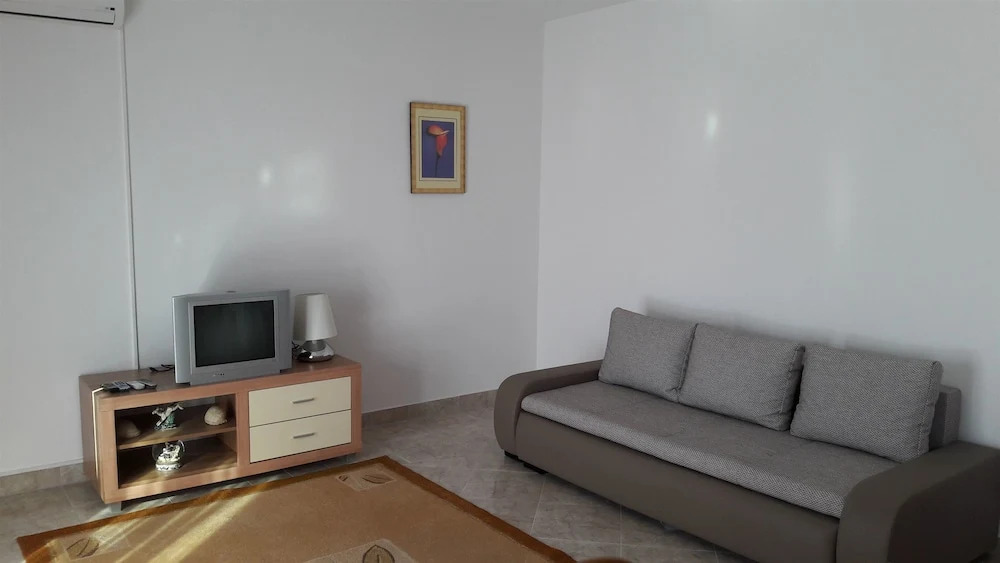 Apartment Branka