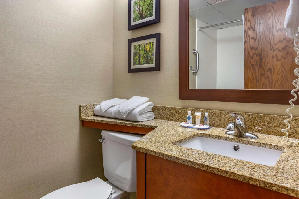 Comfort Inn & Suites near Danville Mall