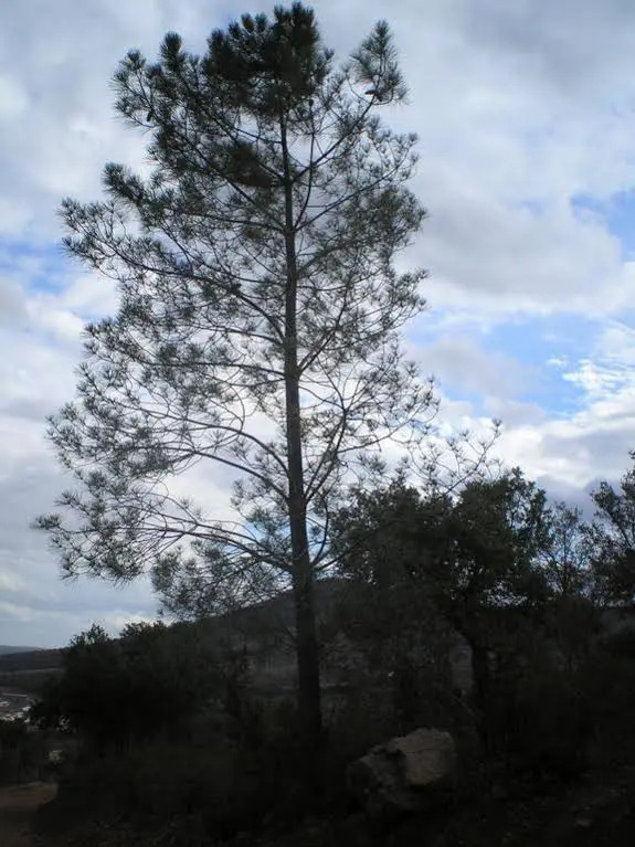 Apartamento Rural Tajo Internacional