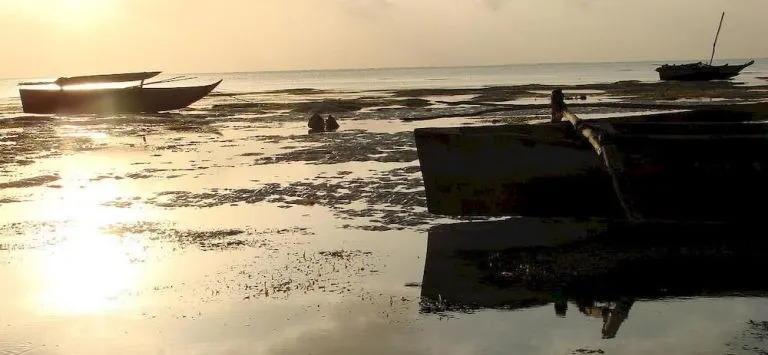 Zanzibar Rock Resort