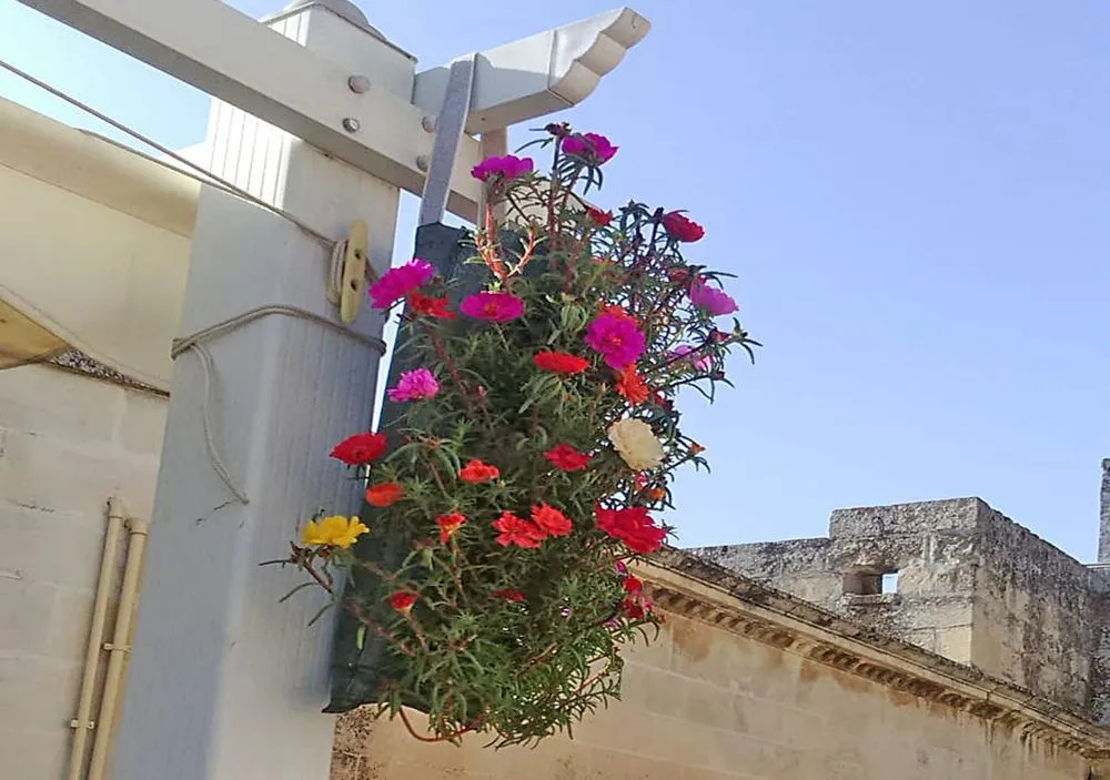 B&B Corte dell Idume