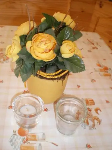 Vila Skocidjevojka