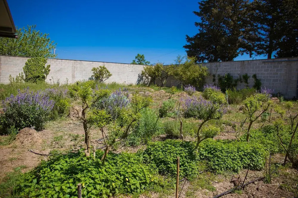 Agriturismo biologico Piccapane