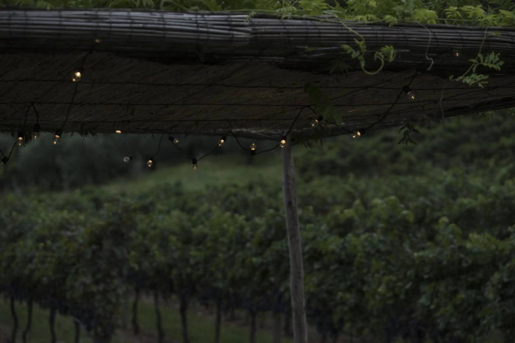 Residence La Vigna
