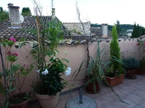 Olea