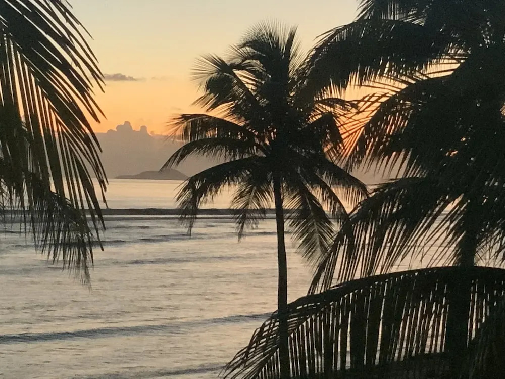Palms Resort and Beach