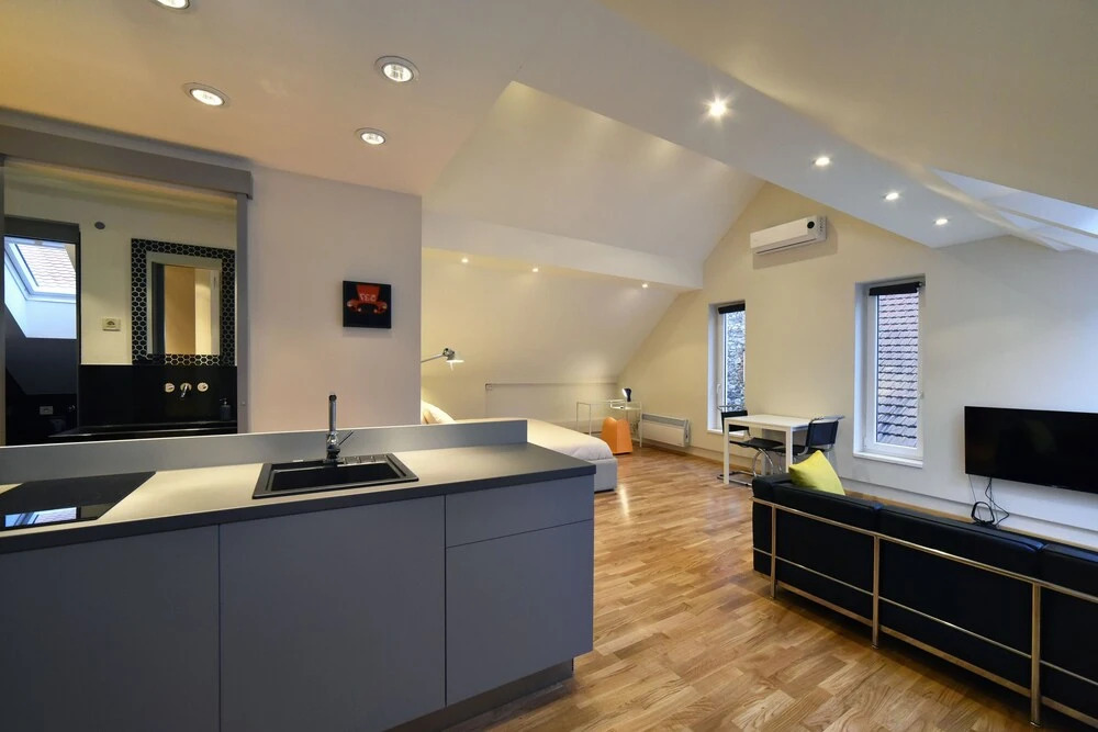Apartment Skylight