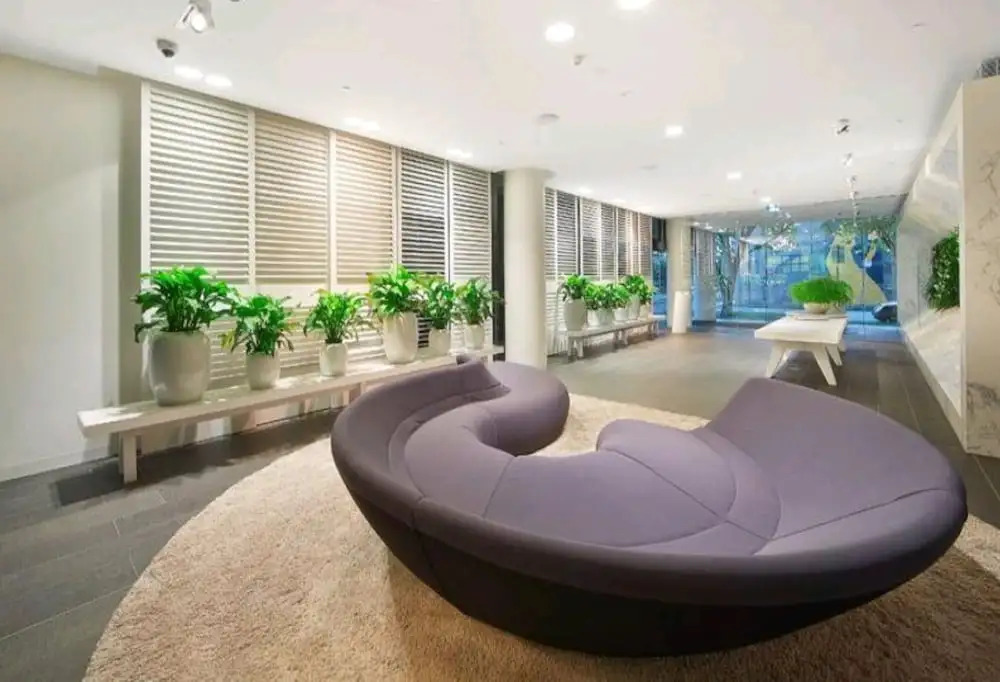 Elm Apartment