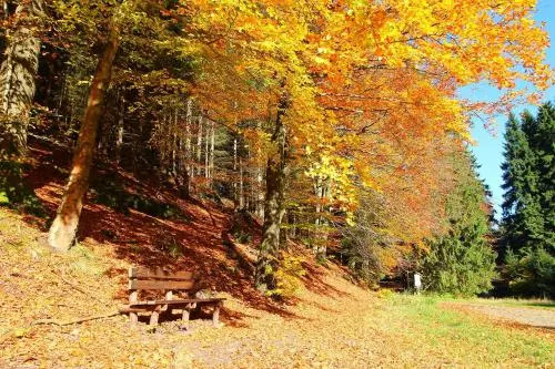 Thüringer Waldbaude