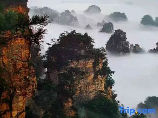 Mountain Residence Zhujing Chinese Inn