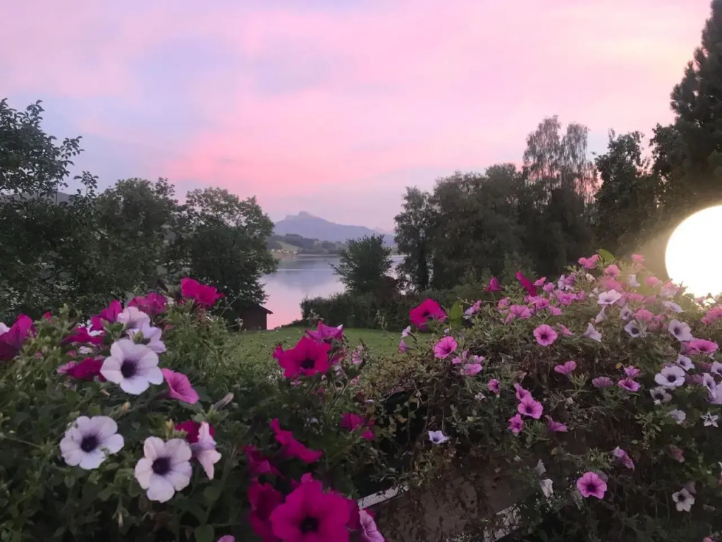 Hotel Garni Dorferwirt am Irrsee