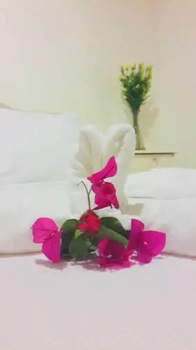 Hotel Beyzade