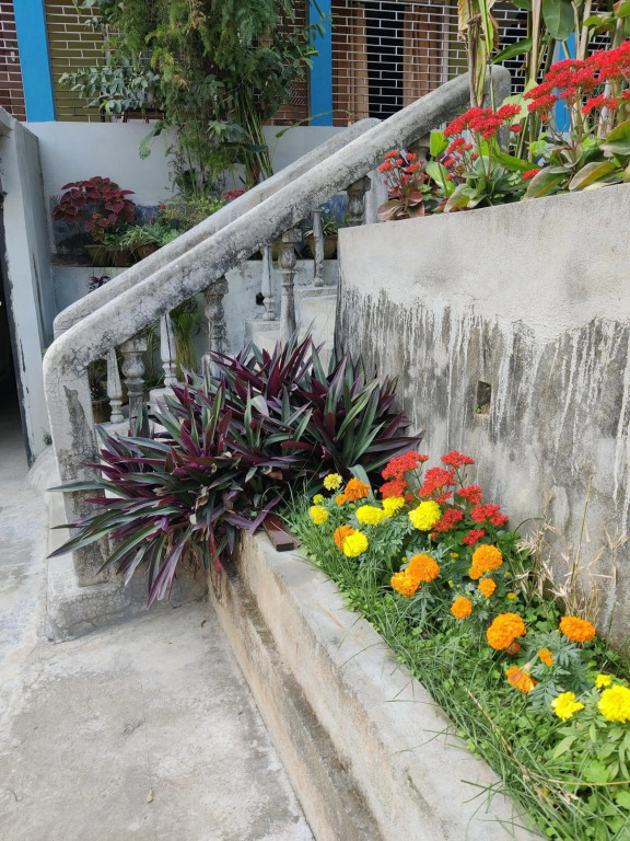Nilachal Homes