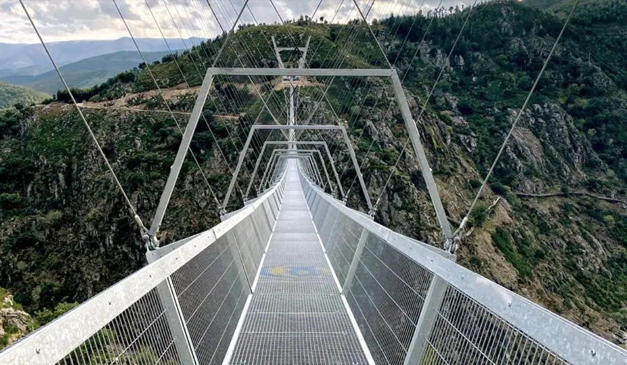 TrebidOuro