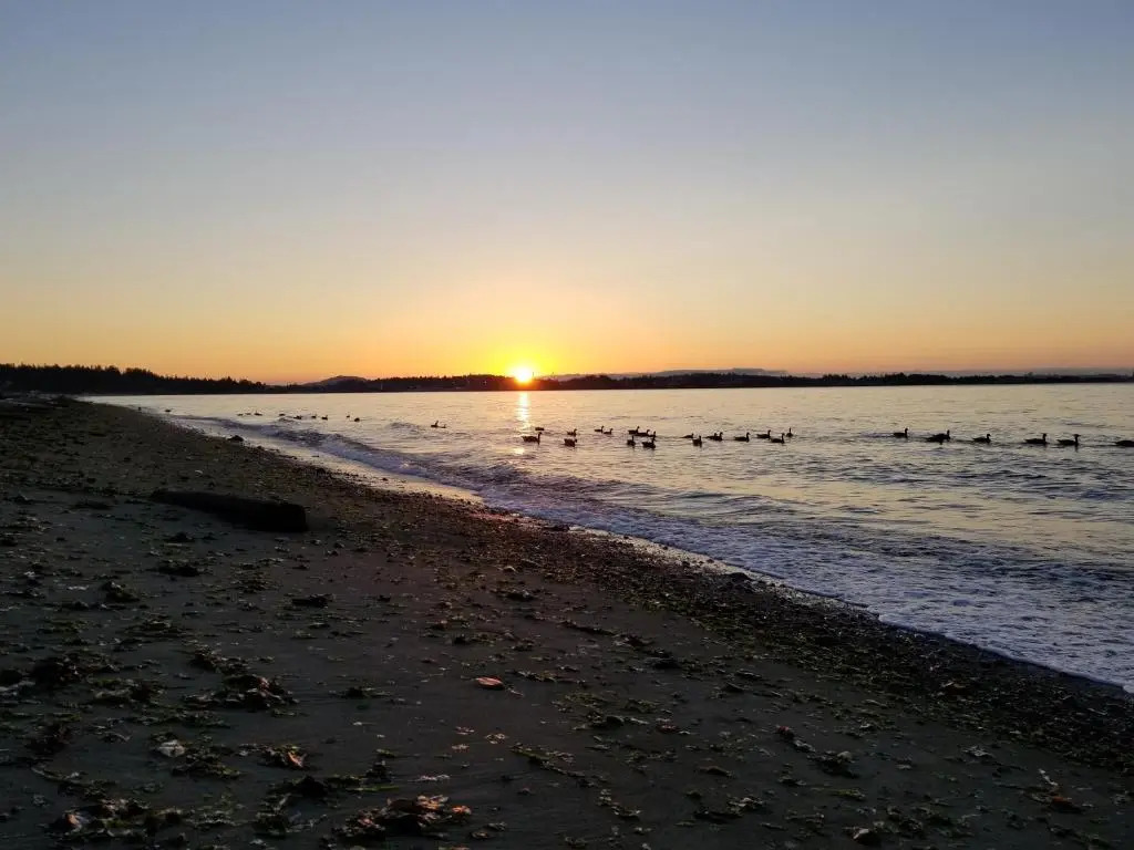 HOV B&B House -Hospitality Ocean View Victoria