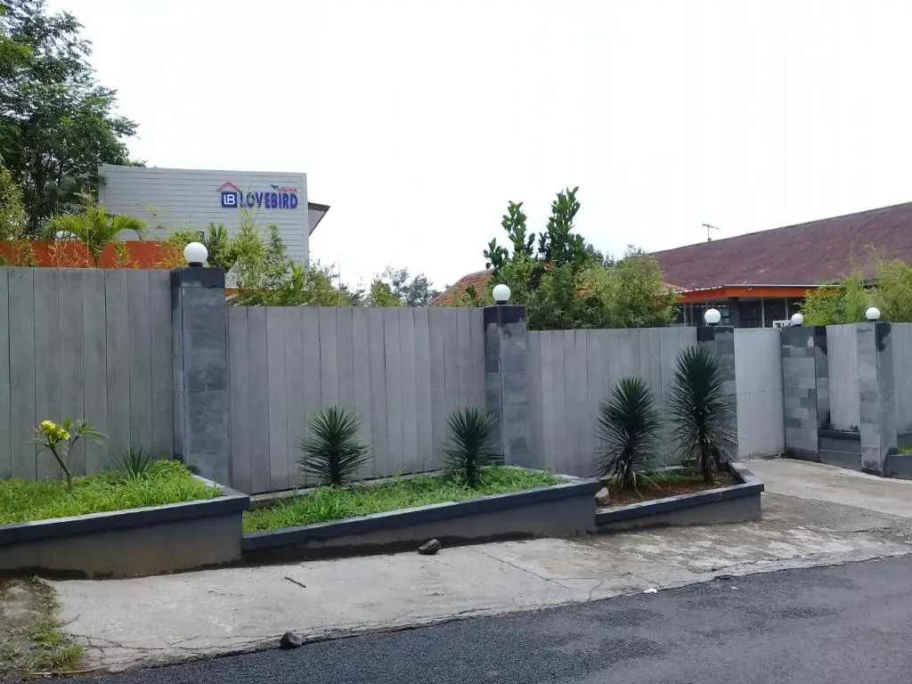 Wisma Lovebird