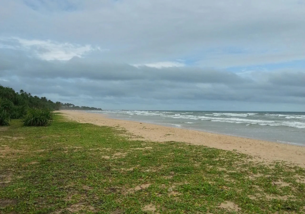 Cherry Lodge Bentota
