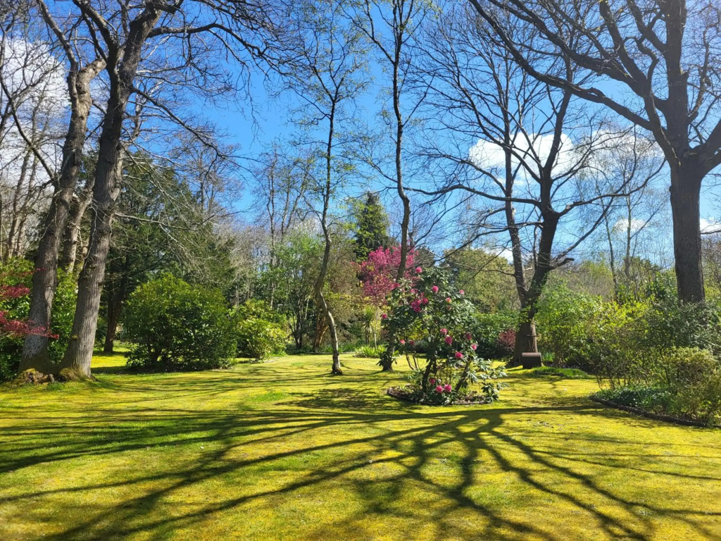 Lovely Family home with Beautiful Large gardens dog friendly