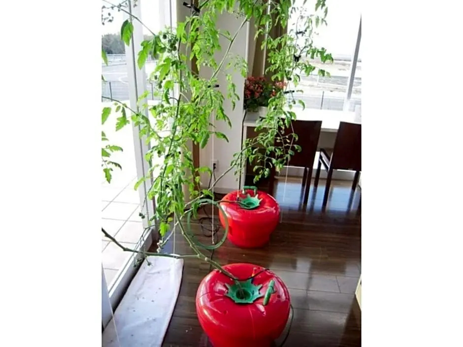 Wind City Hotel - Vacation STAY 81473