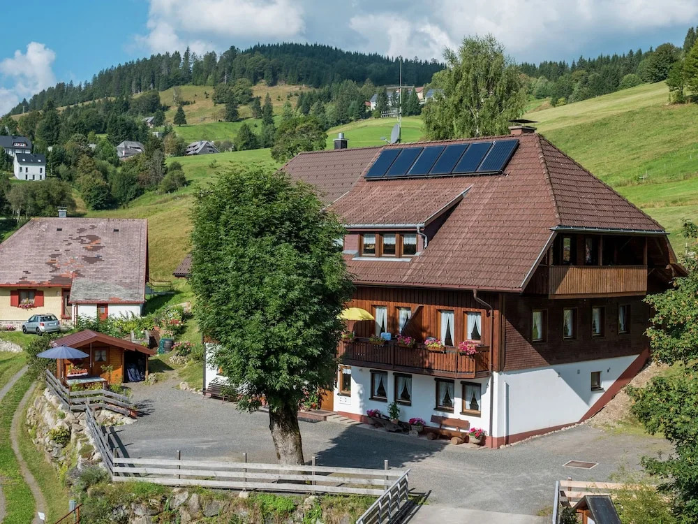 Luxurious Apartment in Todtnauberg With Terrace