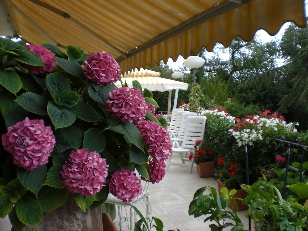 PARK HOTEL