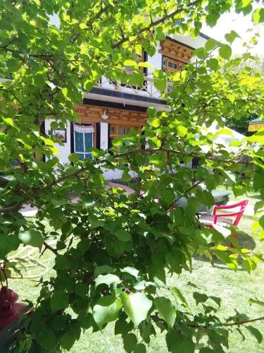 Limosa Guest House & Apartment