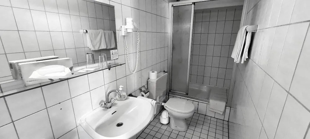 Historisches Hotel zum Schwan