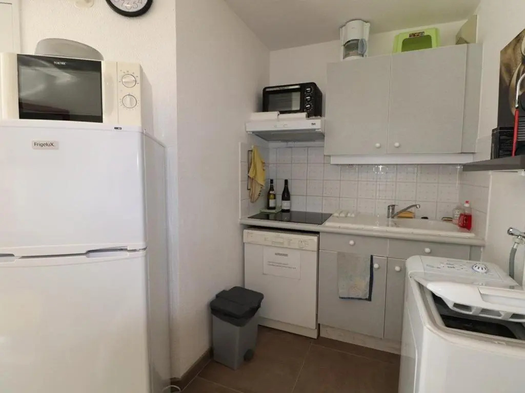 Appartement Le Grau-du-Roi, 2 pièces, 4 personnes - FR-1-307-139
