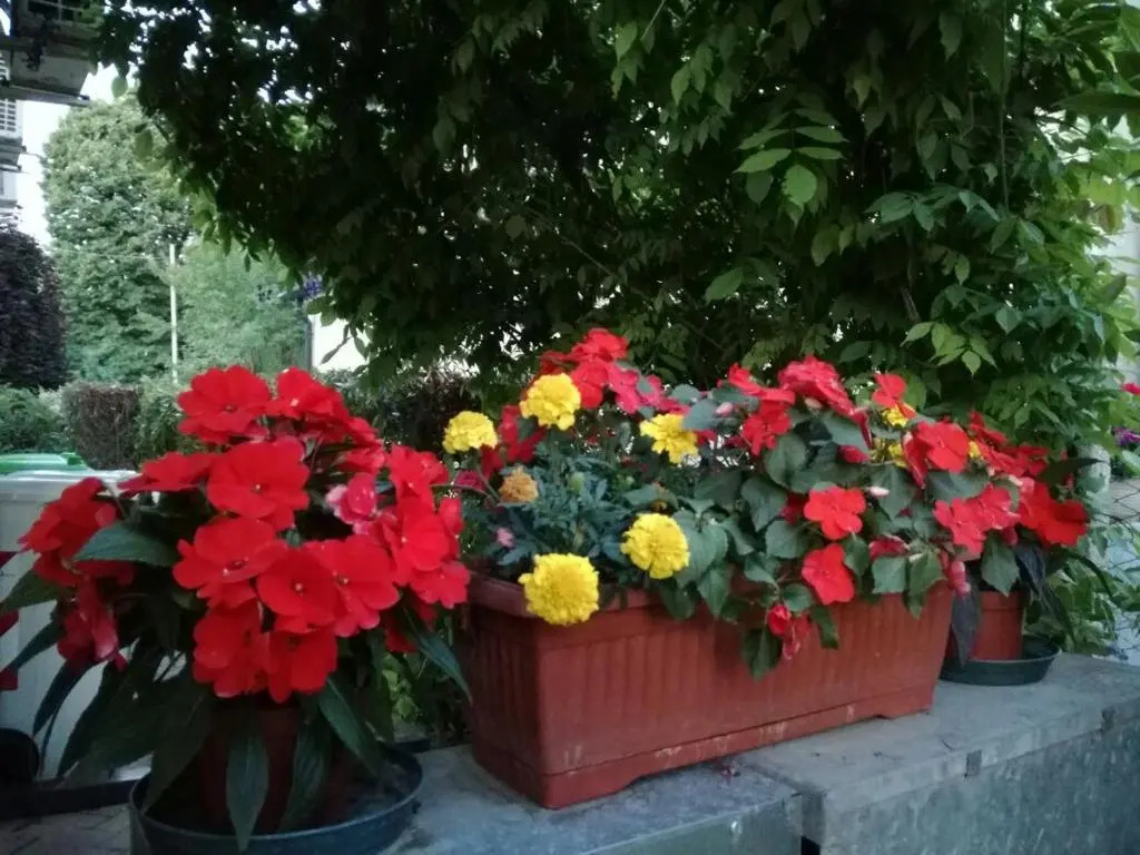 B&B Morosini