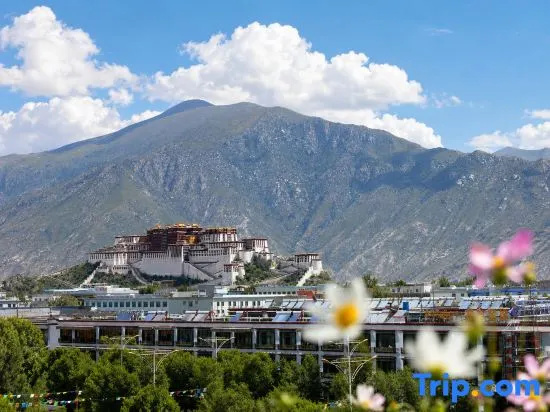 Puxin Fuyang · Scenic Homestay