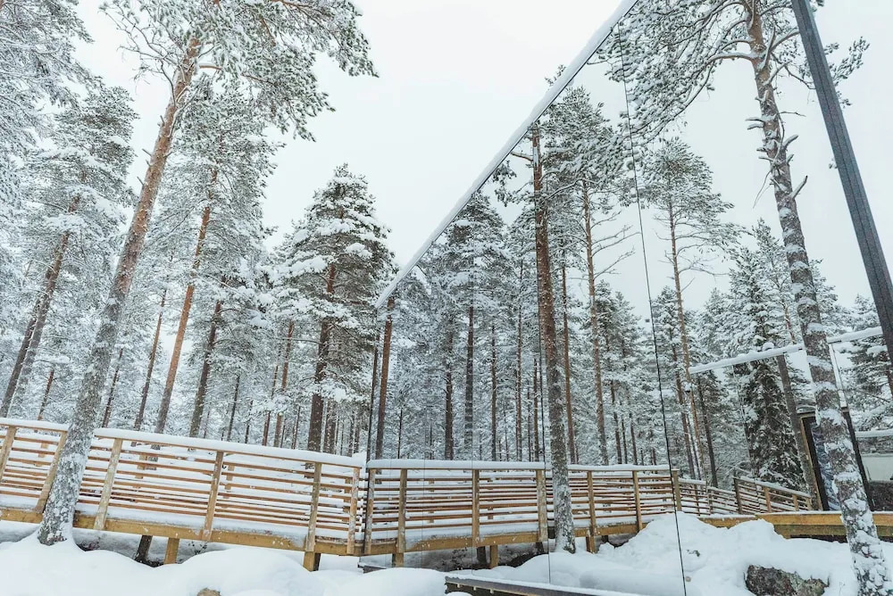 Invisible Forest Lodge