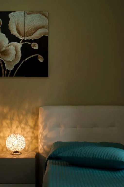 Bed  Breakfast Baobab