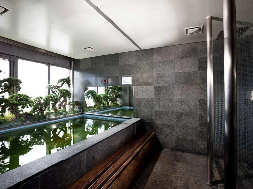 ibis Styles Ambassador Seoul Myeong-dong