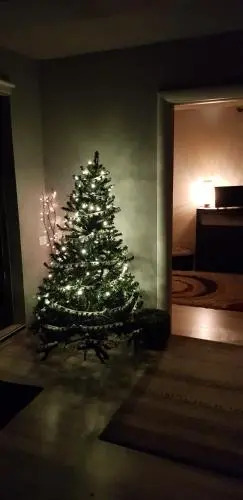 Apartament Kalinderu 2 Busteni