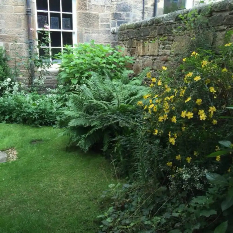 1 Bedroom Apartment Next To The Meadows