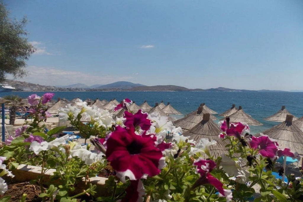 Oceanic Overview Suites