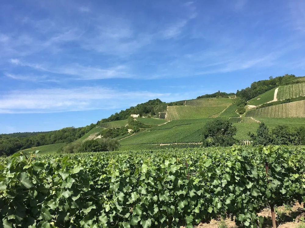 Best Western Hotel De Champagne