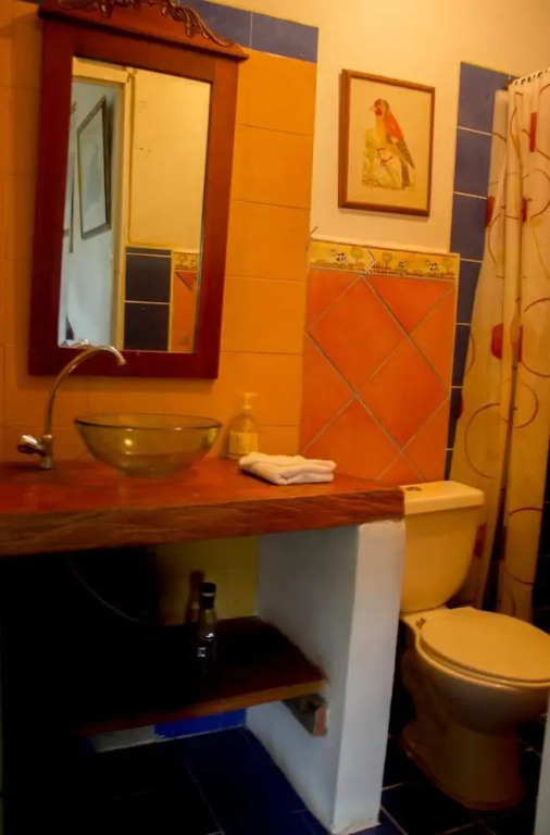Hostal Las Camelias Salento - Hostel