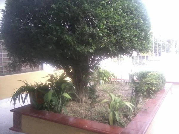 The Meeting Point Hostel