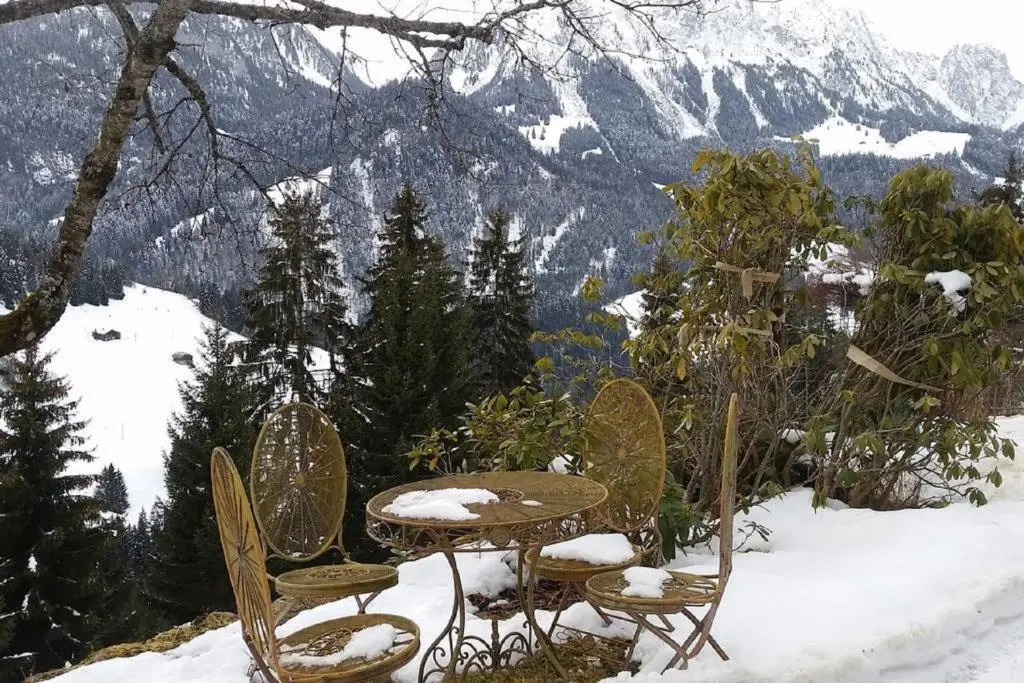 Gstaad Paradise View Chalet with Jacuzzi