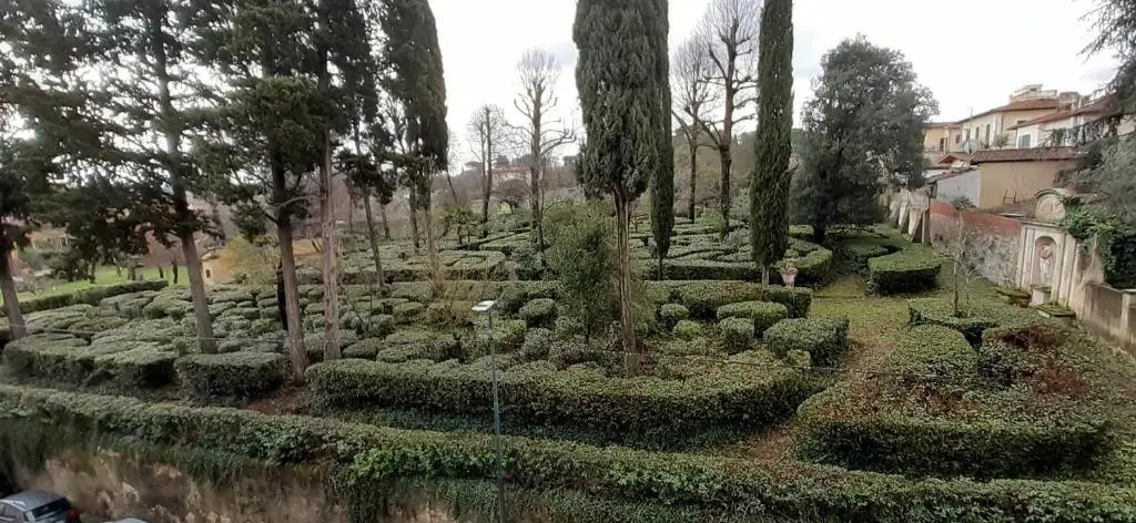 L'Albero di Garibaldi