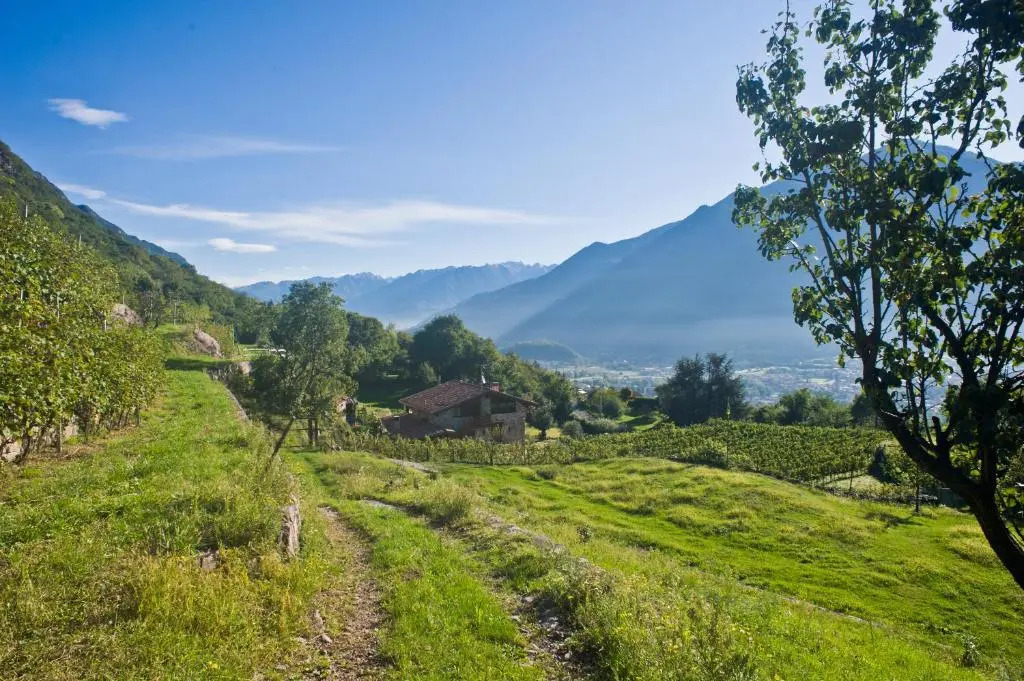 Agriturismo Ruc del Lac