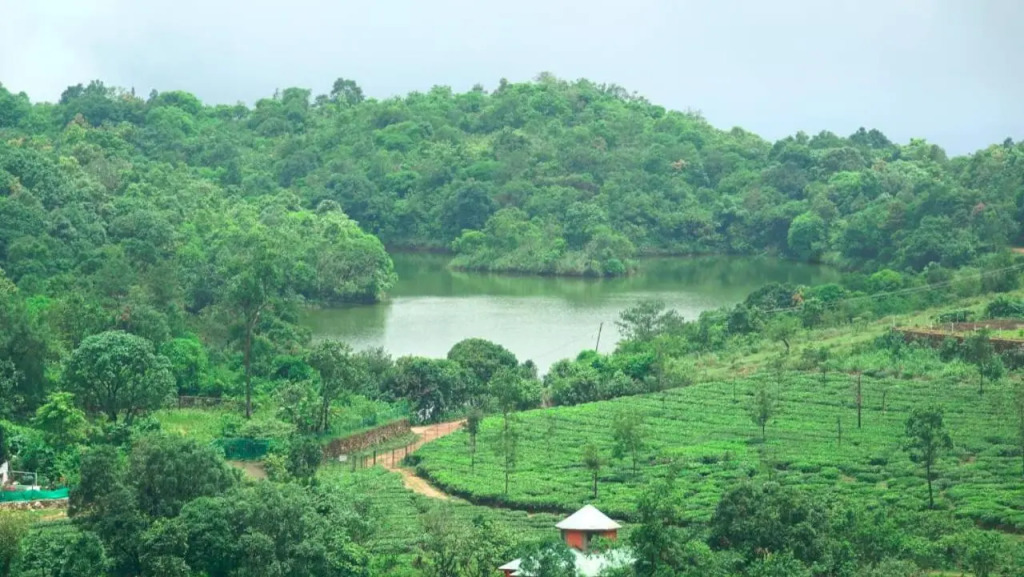 Mercy Mol Homestay vagamon